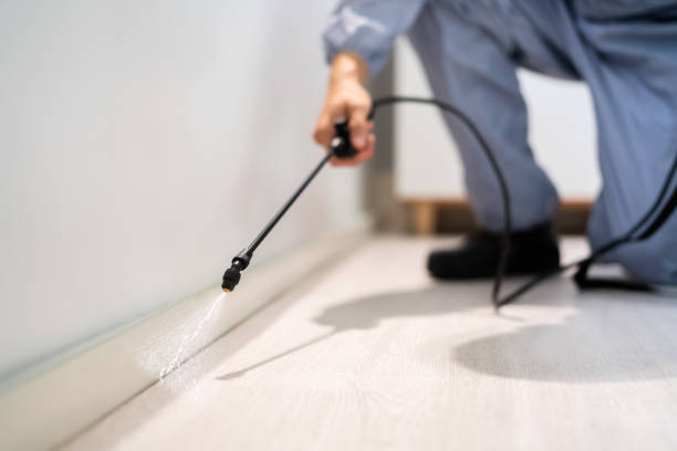 Licensed Termite Control service in Anderson, SC - Nex Pest Control