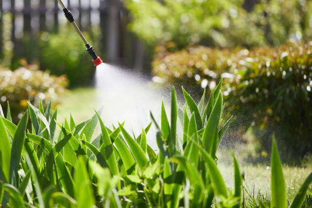 24/7 Emergency Termite Control experts in Anderson, SC