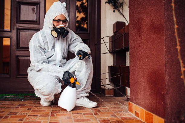 Reliable Termite Control contractor in Anderson, SC by Nex Pest Control