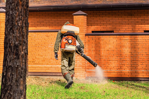 Top rated local Termite Control specialists in Anderson, SC